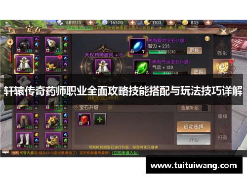 轩辕传奇药师职业全面攻略技能搭配与玩法技巧详解