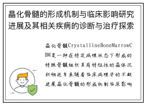 晶化骨髓的形成机制与临床影响研究进展及其相关疾病的诊断与治疗探索