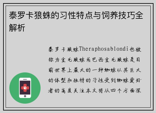 泰罗卡狼蛛的习性特点与饲养技巧全解析 泰罗卡狼蛛的习性特点与饲养技巧全解析